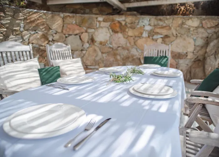 Clare De Lune 미크리 비글라